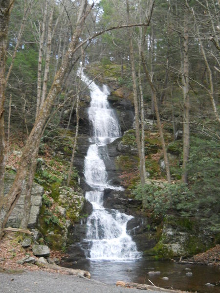 Stokes 12-4-10 048.jpg