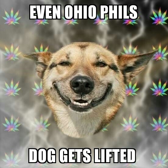 Stoner Dog 26082016154323.jpg