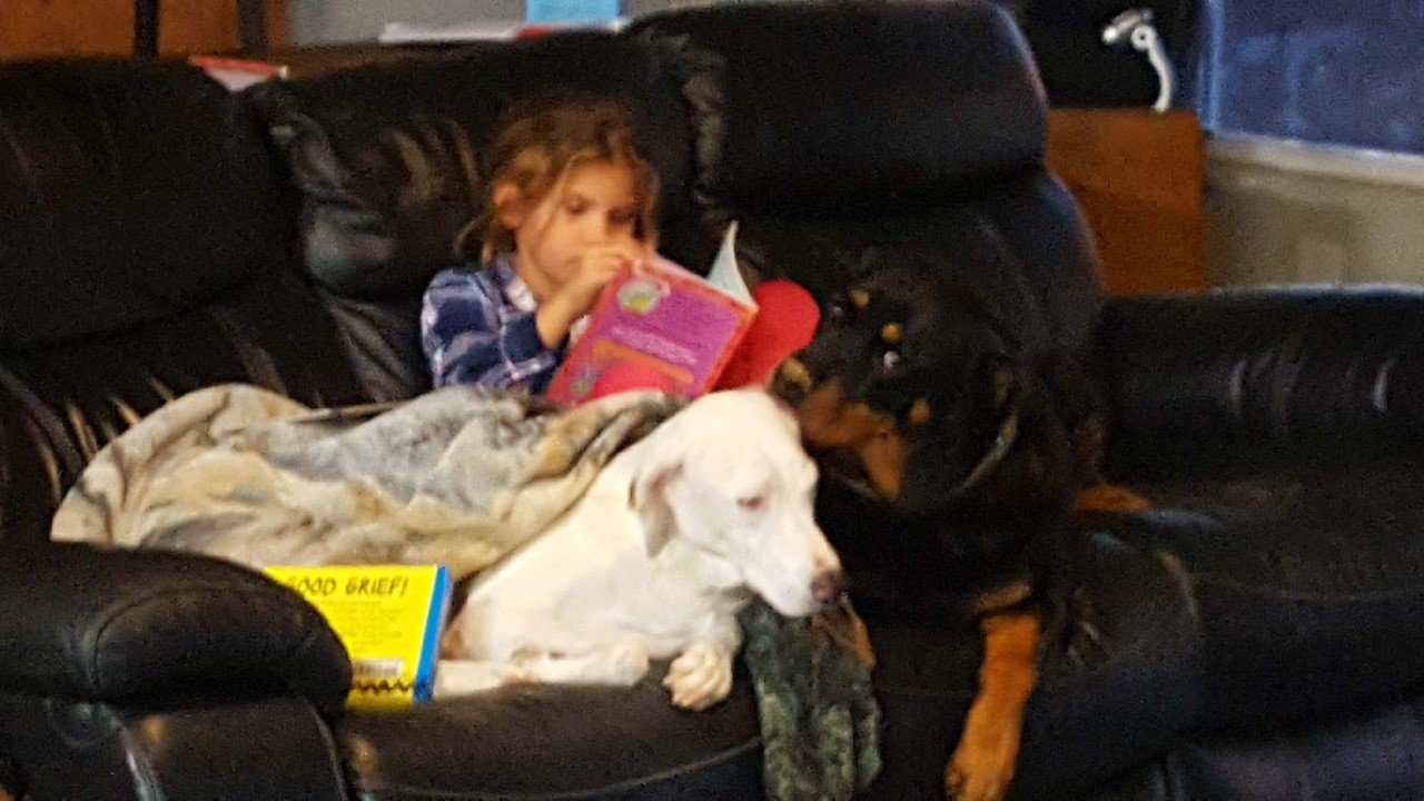 Story time.jpg
