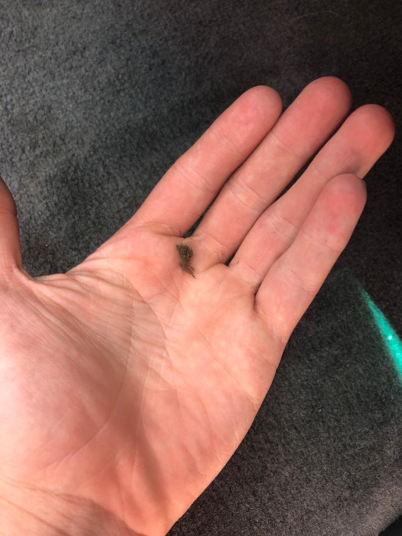 strange foam on floor '97  taco.jpg