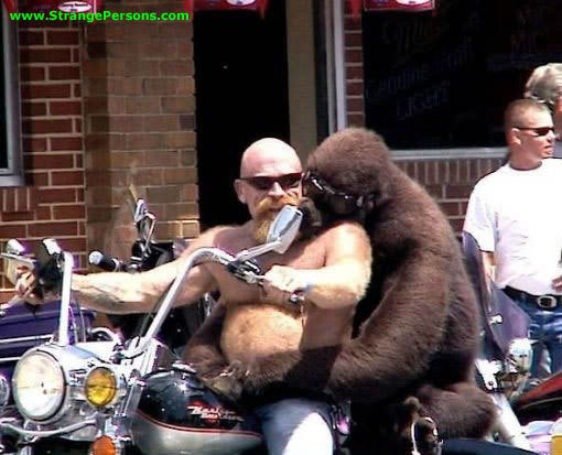 strange_e1ec73bd1c4b8912e8dc584bea536d01272d0bc5.jpg