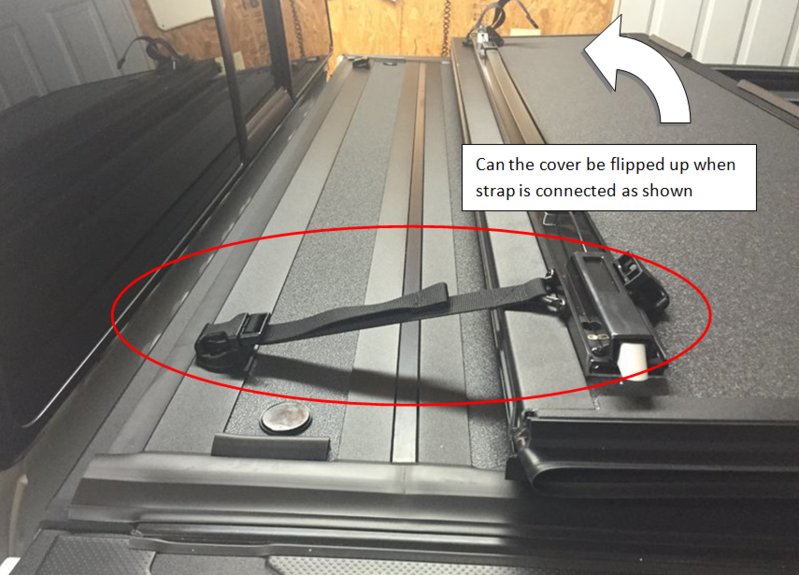 Strap1.jpg