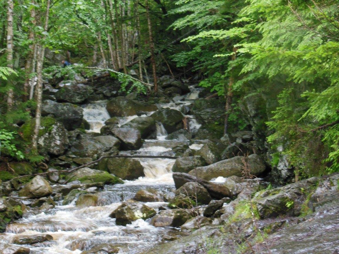 Stream.jpg