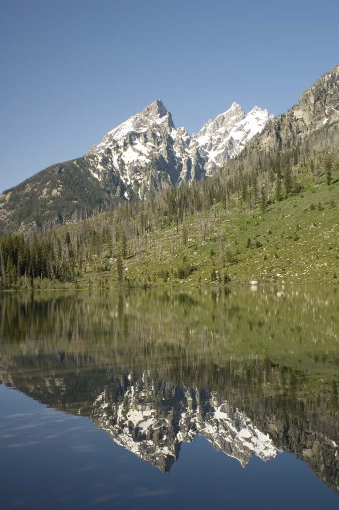stringlake_1414d12aa294fd39c05e2b073e505e39b2463f3d.jpg