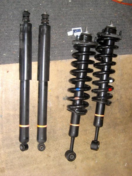 strut:shocks.jpg