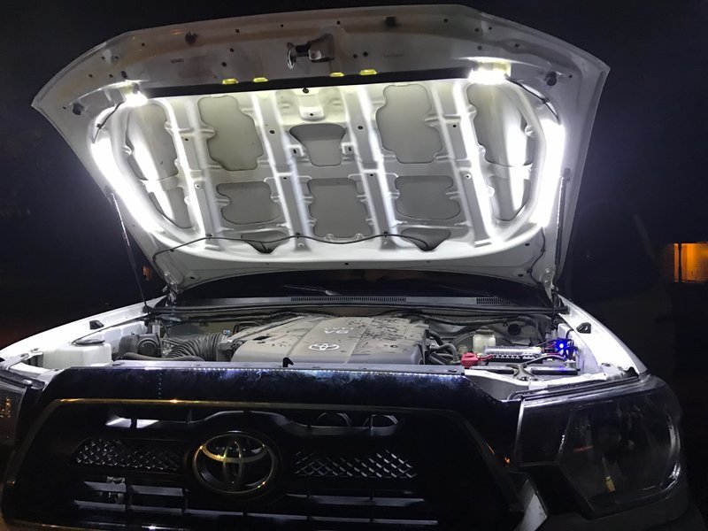 struts:hood-lights.jpg