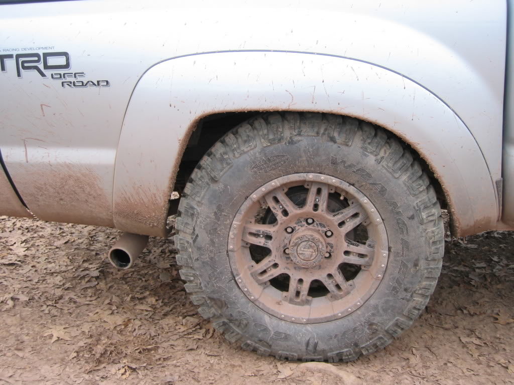 Stuffed_6c2eef87b5f10434f8668b05d4115544fef78939.jpg