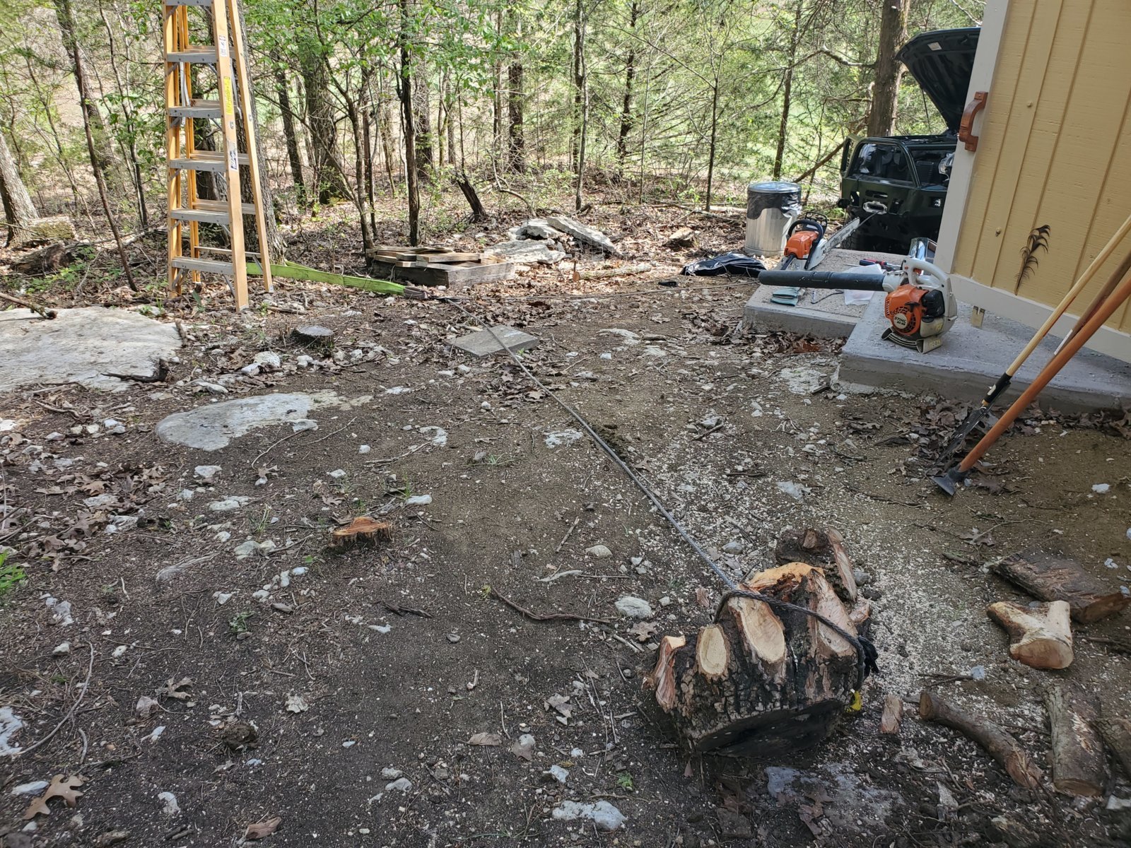 Stump[1].jpg