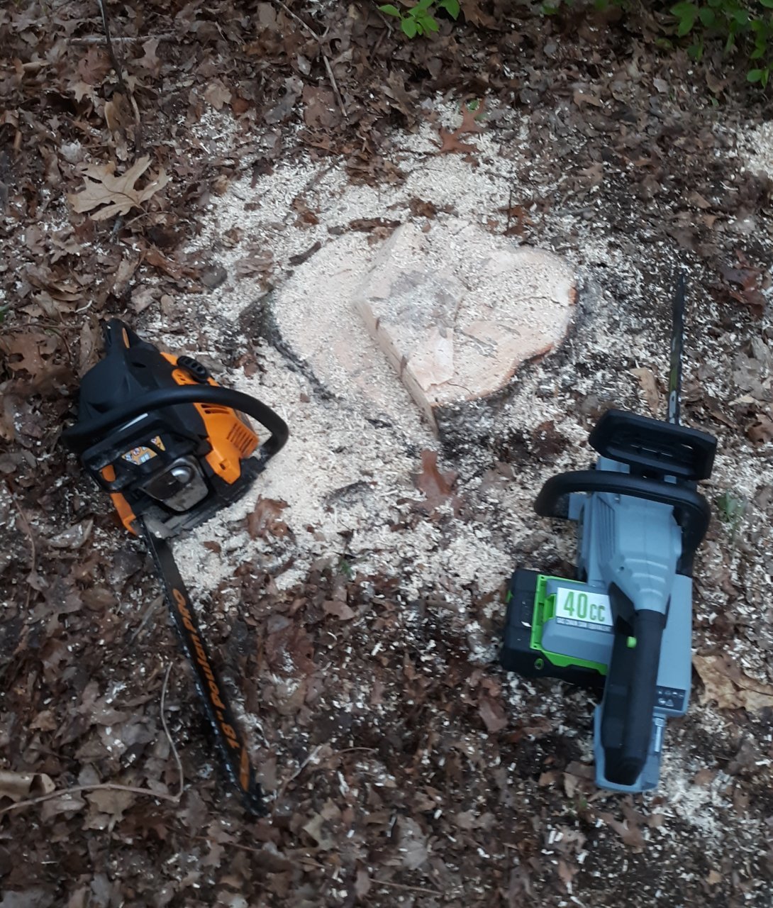 Stump 2 saws.jpg