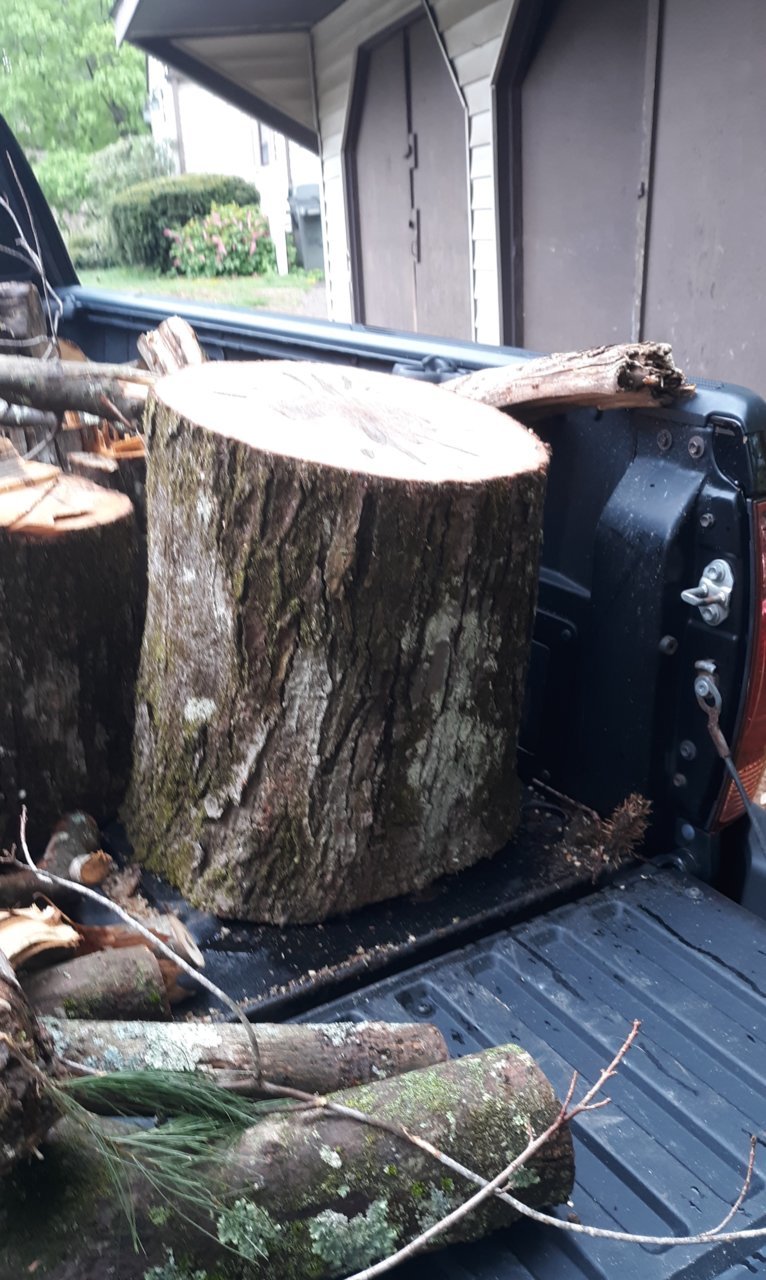 Stump in truck.jpg