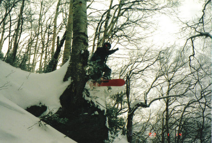 stump jumper.jpg