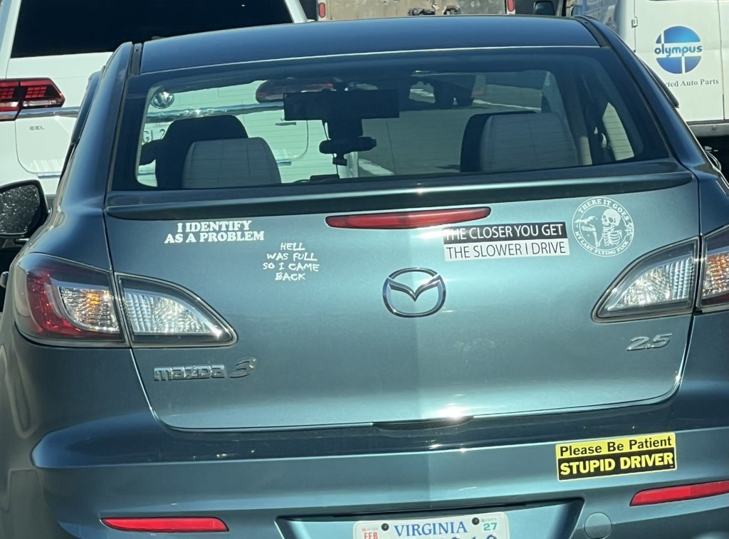 Stupid Driver.jpg