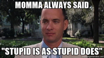 stupid-is.jpg.jpg