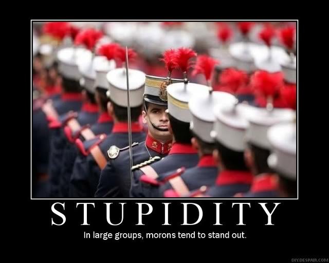 stupidity_509cdb077d0d80e5b51770100423b8f27f76ee85.jpg