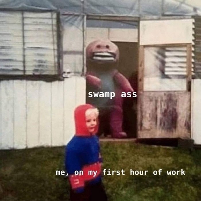 SuBrVdy.jpg
