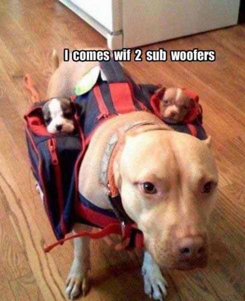 Subwoofers.jpg