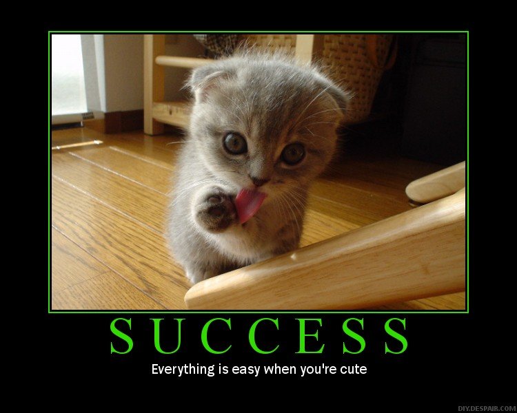 Success_poster.jpg