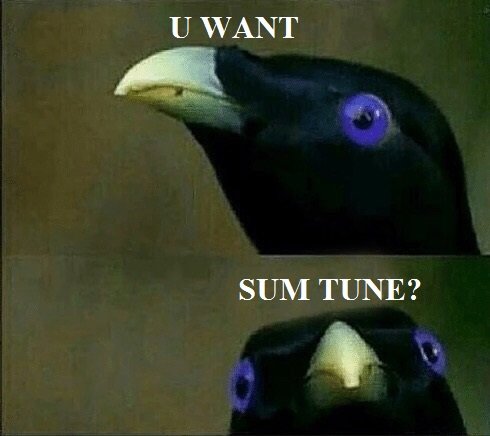 SUM TUNE.jpg