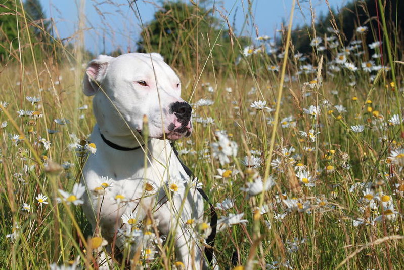 Summer 2012 001.jpg