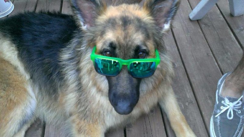 summer 2013 spy.jpg