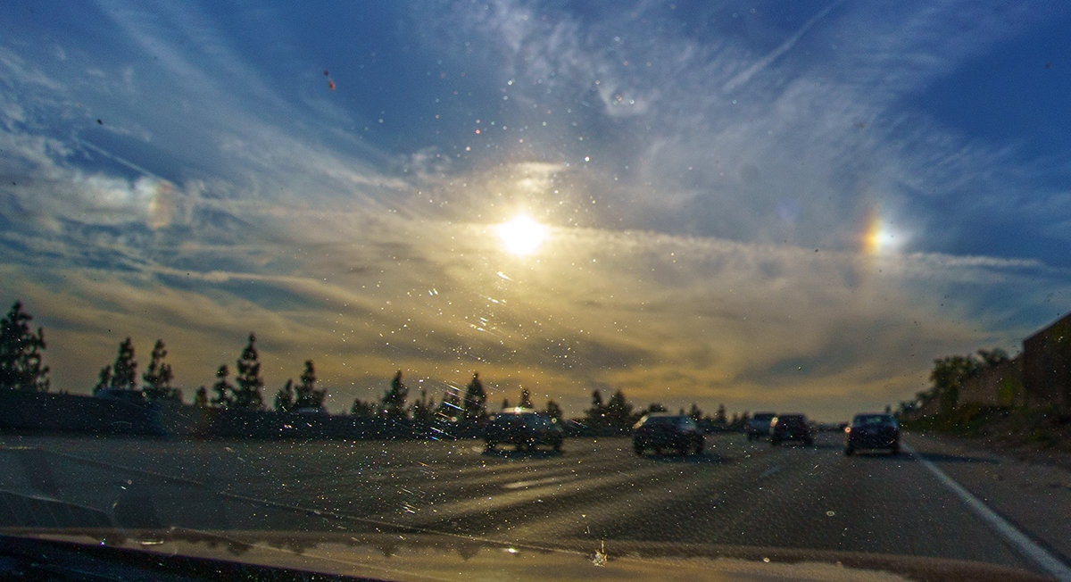 sun dogs.jpg