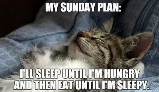 sunday-morning-meme.jpg