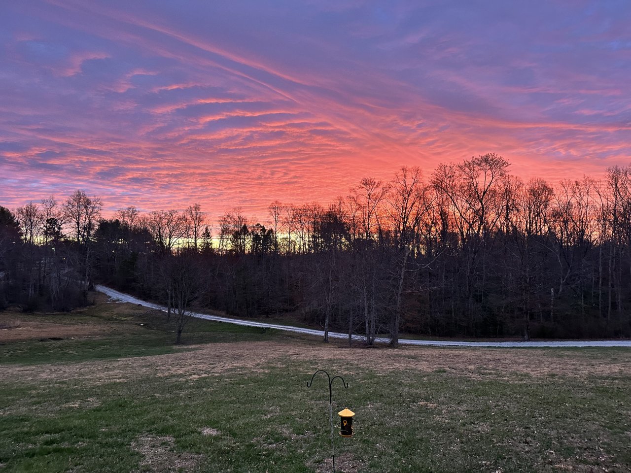 sunrise 030823.jpg