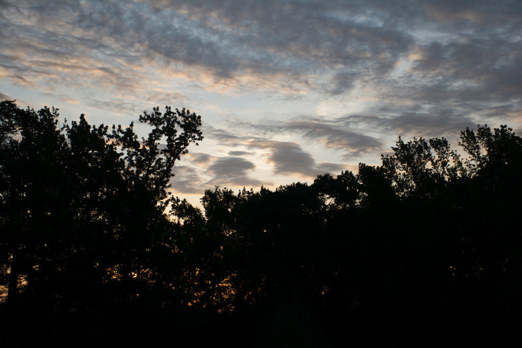 Sunrise%20original_zps1tzot0ea_c899e7565e29eb59b38aa8c19a9bdbb23cf9105d.jpg