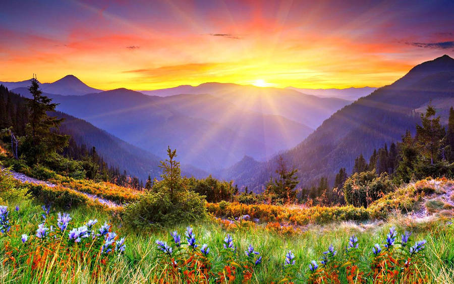 sunrise-6tlr4cfeg3q0al8n.jpg