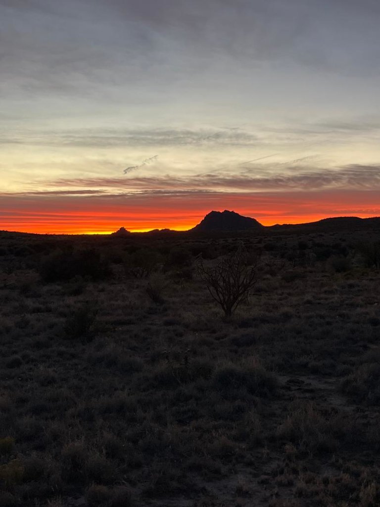 Sunrise Tuesday Morning Novemeber 12th 2024.jpg