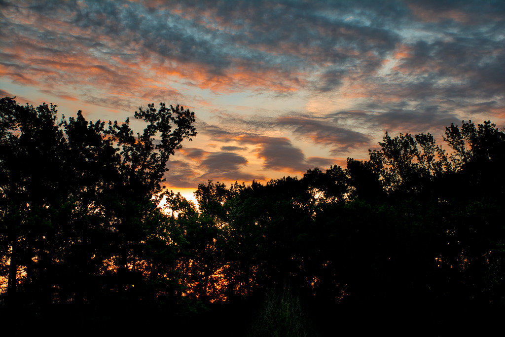 Sunrise_zpse2vyahol_f8c7e93401e4aa6605313c434f0fd1db00704e5d.jpg