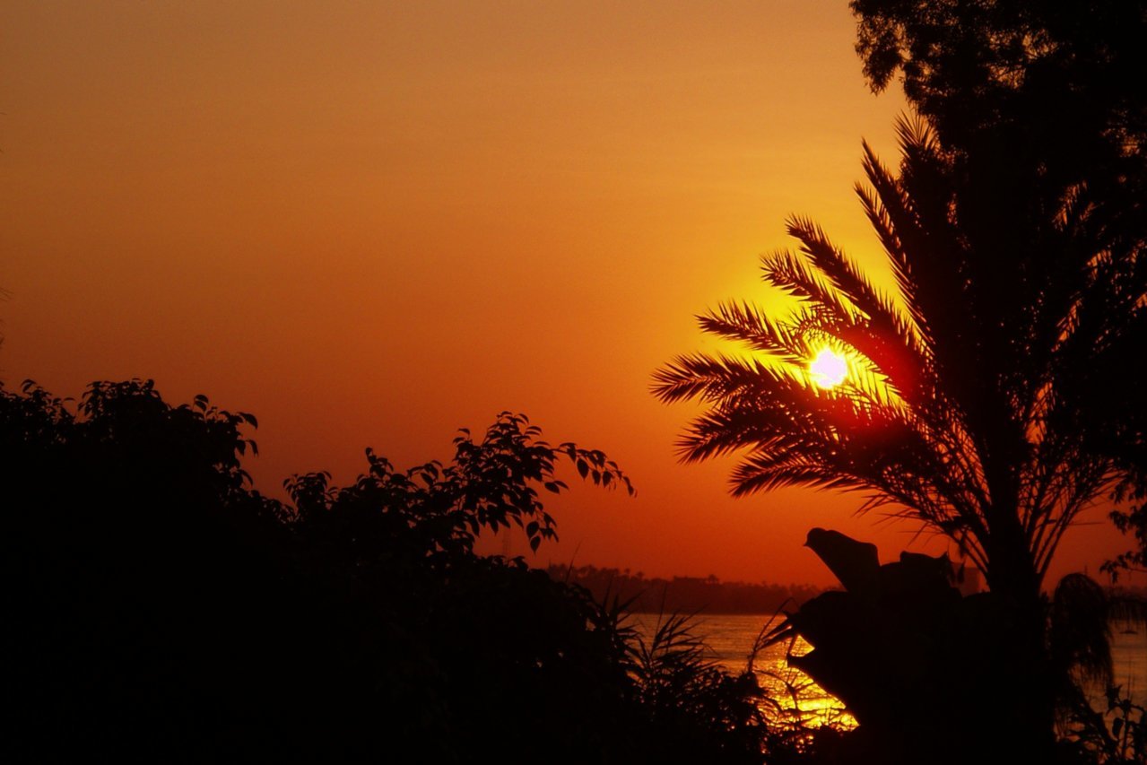 sunset from the nile riverbank.jpg