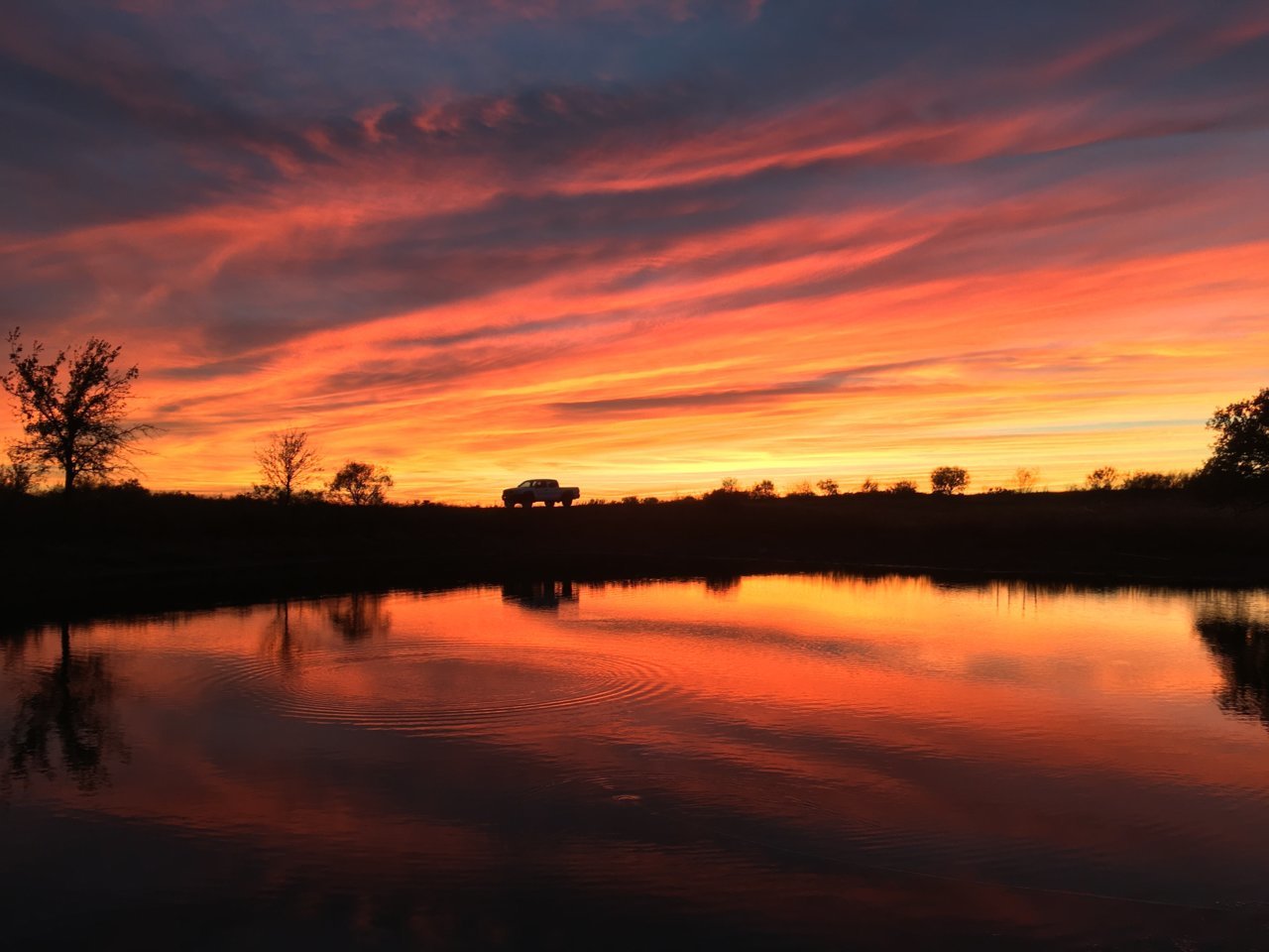 sunset.jpg