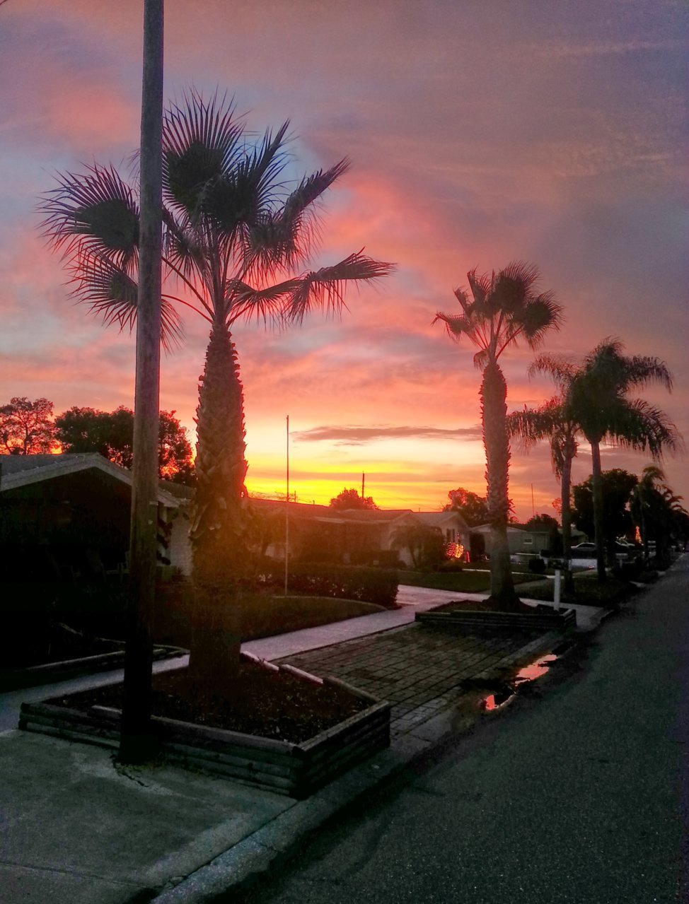 Sunset.jpg
