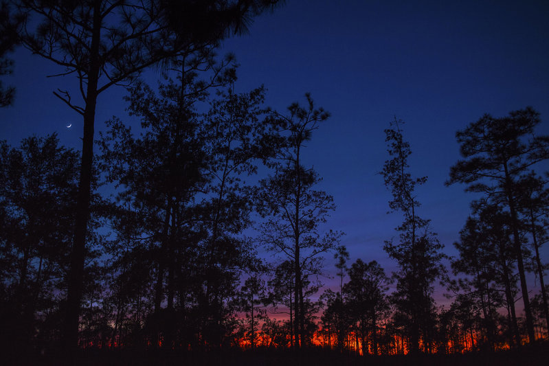 sunset.jpg