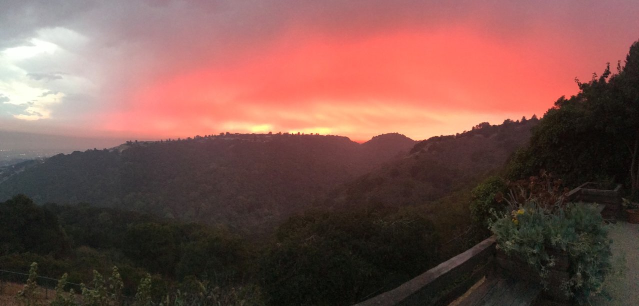 sunset tonight.jpg