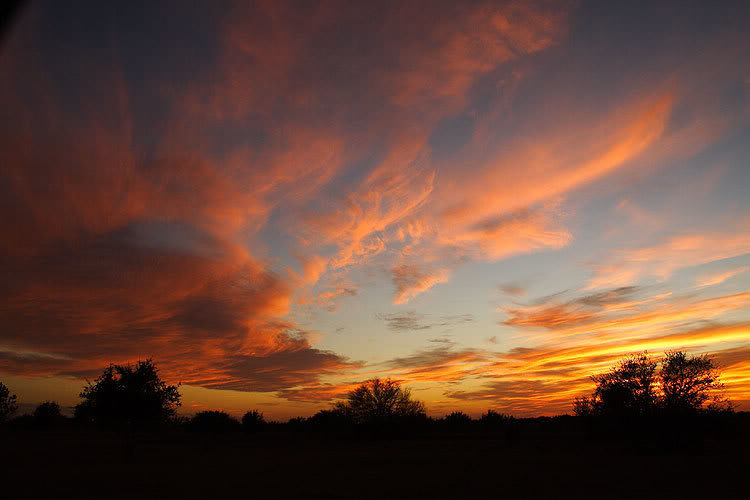 Sunset2807-1_7b1fa7ea7a80a8ddfe1828fc5f35b512d3e96615.jpg