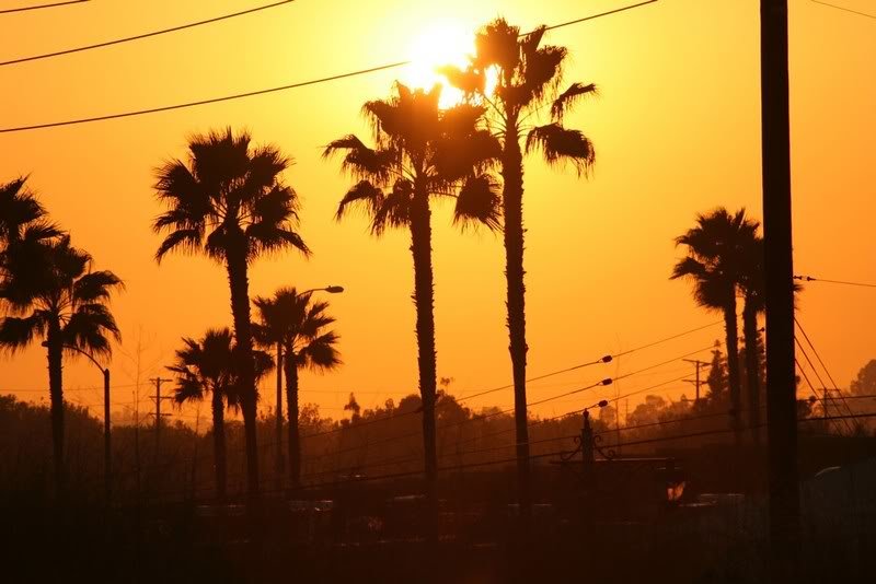 sunset_183ec96cb1f2ba673dcd72cbf8ae79386c9dc6b2.jpg