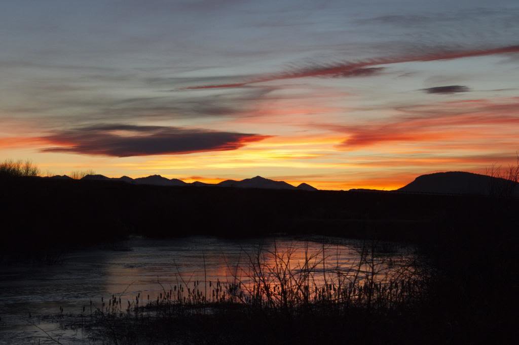 sunset_zps9fca10d7_050a916debfd90166a0e4f6453275a35d2ac2341.jpg
