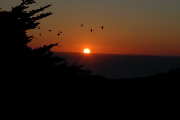 sunsett_944d9329e2e0ccc318a2d9882411ee7582cfb10e.jpg