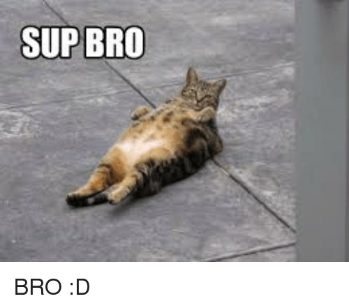 sup-bro-bro-d-35812157.jpg