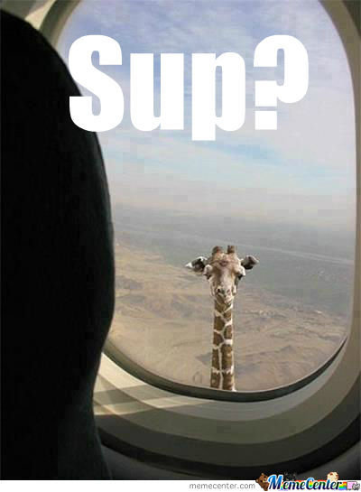 sup_o_731931.jpg