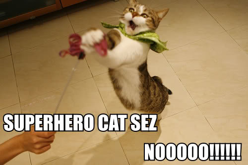 superherocat_3dd13e3134b2f34cb93dcb59eed95ed5c52374b4.jpg