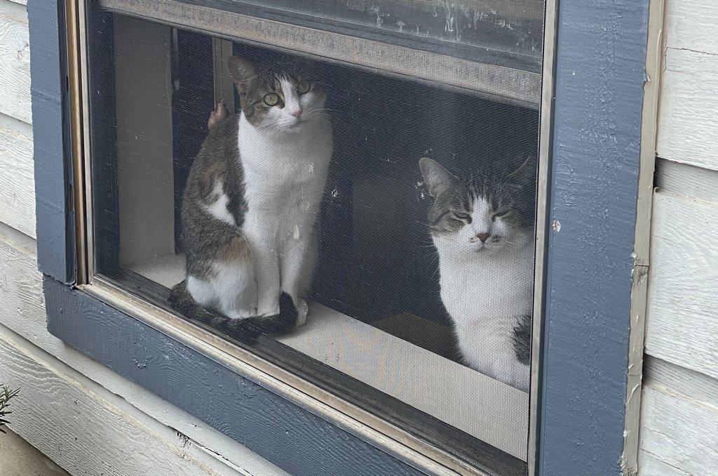 supervisors2.jpg