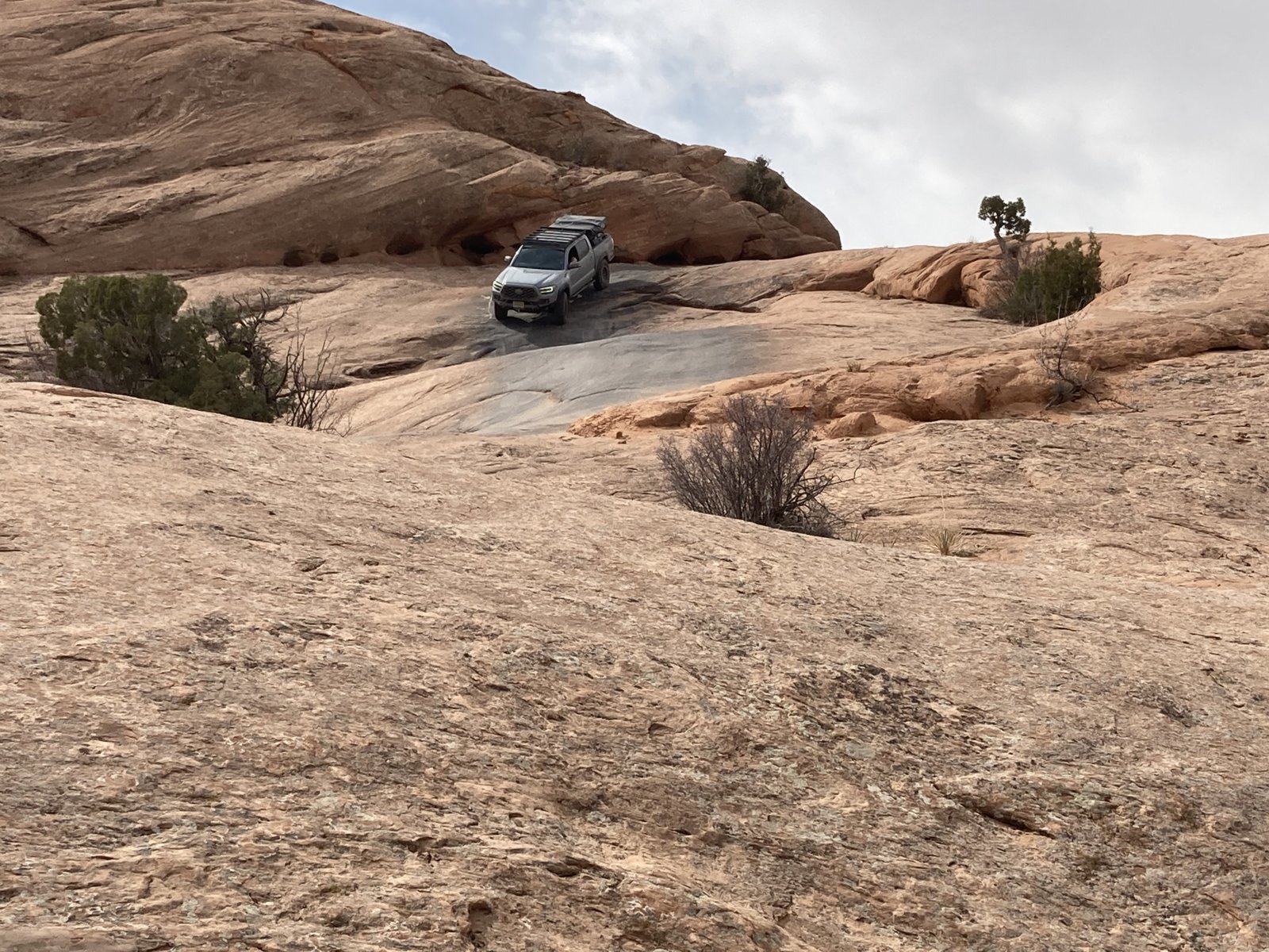 Supr4Lo on Rock.jpg