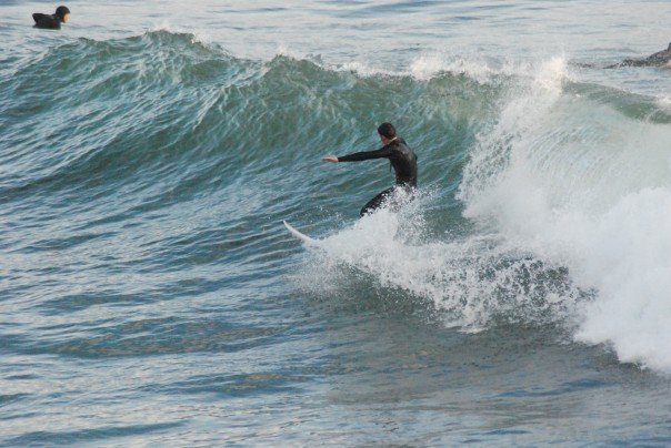 surf 3.jpg