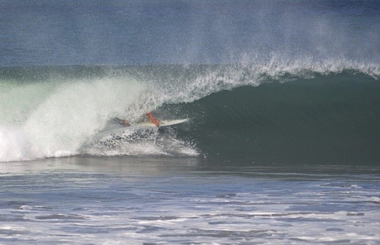 surf8.jpg