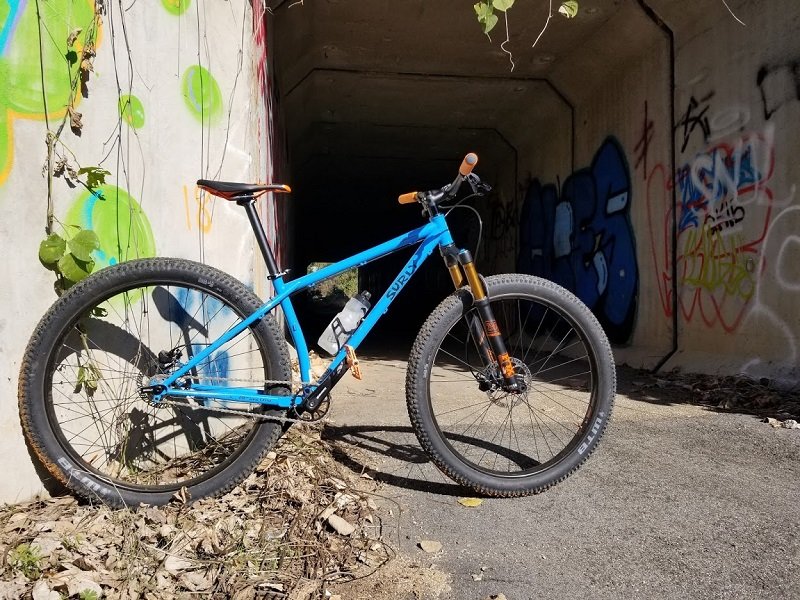 surly.jpg