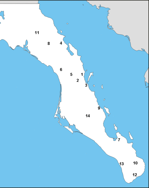 SurMissions_72e2c5982d16d503f30da2e4a39cdfe599a7f980.gif