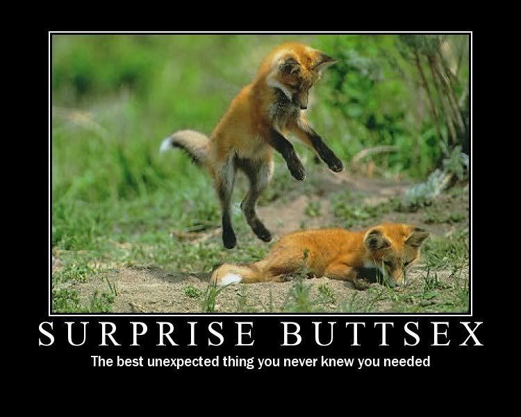 surprise-buttsex_aa09b8395b72346e3b009c168d36aa802a04de71.jpg